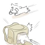 ある言葉が聞こえると