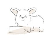 15年間続いたこと