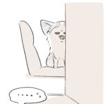 ツンデレすぎる愛犬の日課