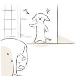 開け方が独特…