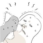 くしゃみすると大騒ぎ