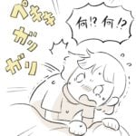 ペットボトルが大好きです