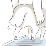 トイレ前は油断禁物