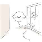 キッチンの柵をめぐる攻防