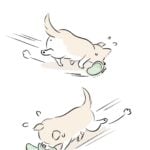 スリッパが引き起こすもの