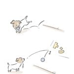 深夜に聞こえてきた音の正体