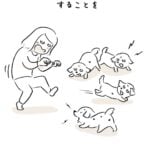 トイプー4匹と怪獣