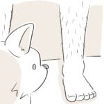 猫と育ったせいかもしれない