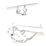 いないなぁ、と言ってみたら
