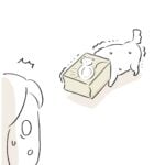 キャットフードが気になる