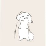 テレビっ子なうちのワンコ