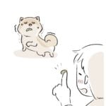 目やにを掃除した後が…