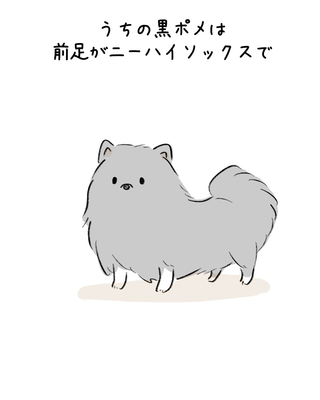 素敵な靴下を持つワンコ 1