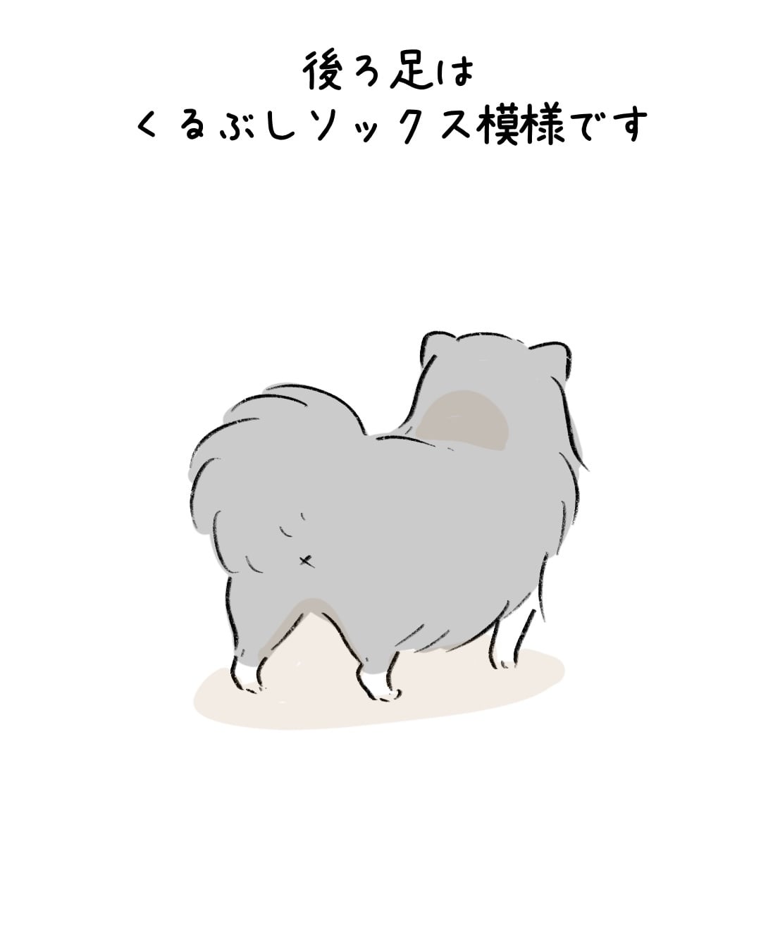 素敵な靴下を持つワンコ 2