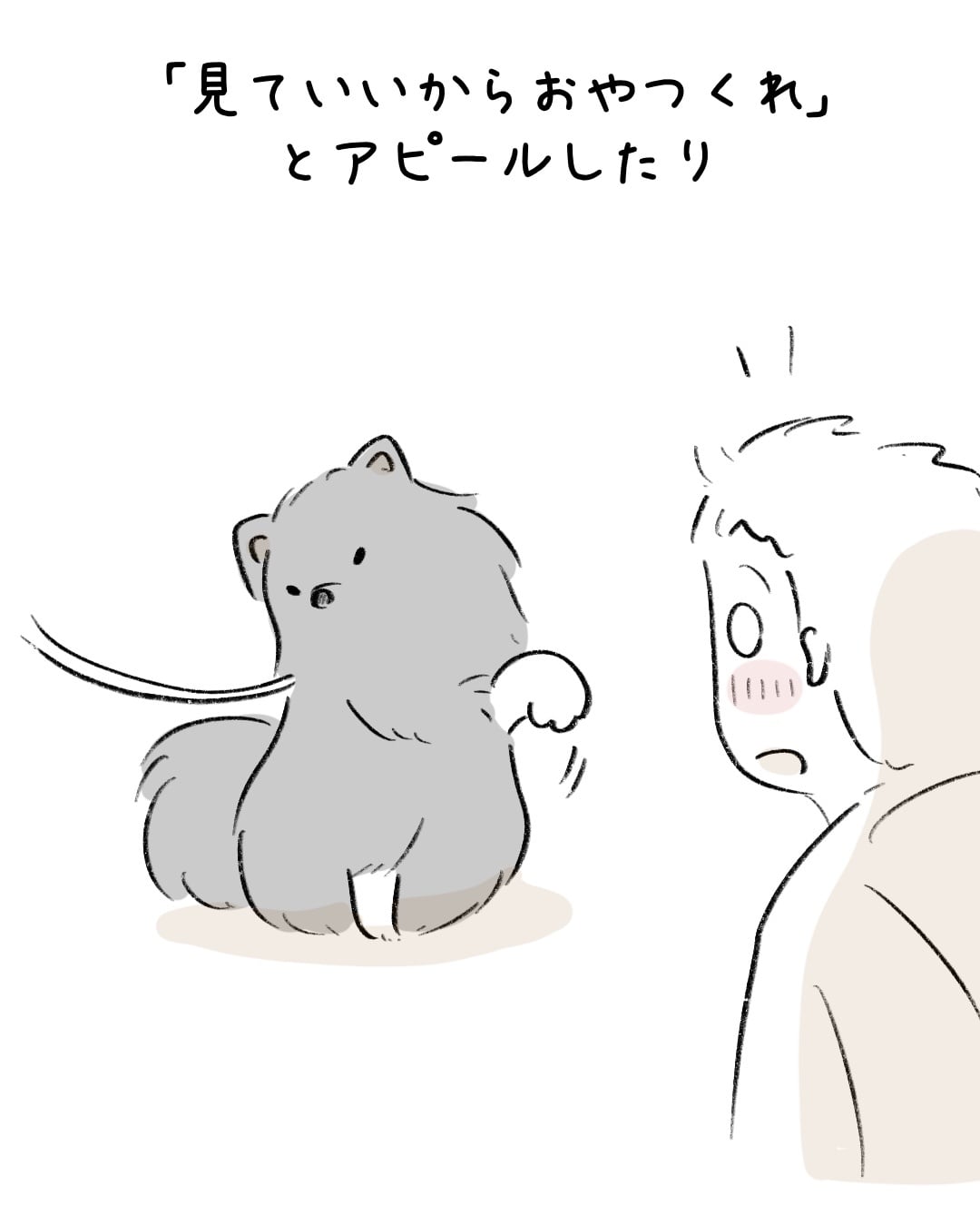 素敵な靴下を持つワンコ 5
