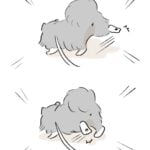 素敵な靴下を持つワンコ