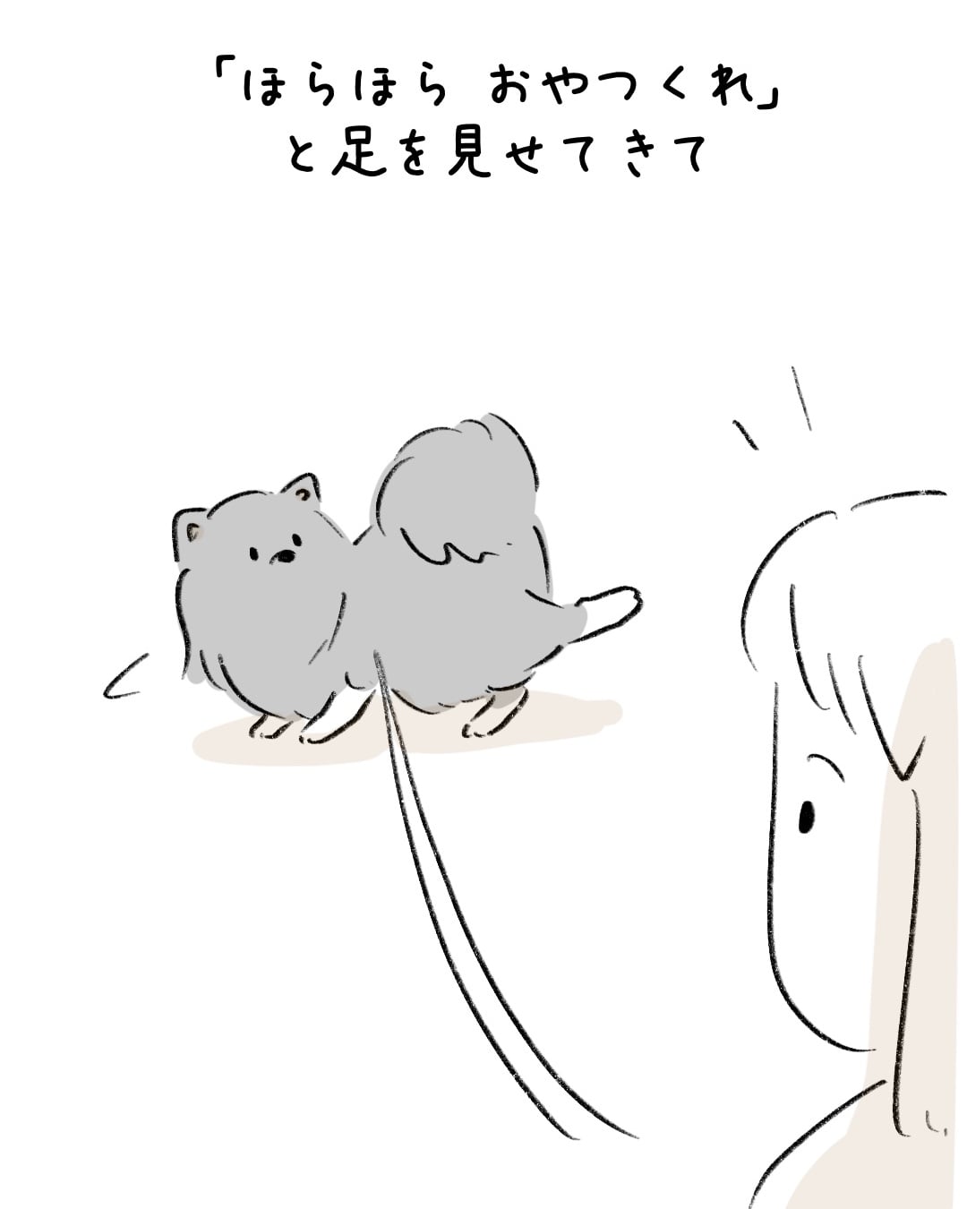 素敵な靴下を持つワンコ 8