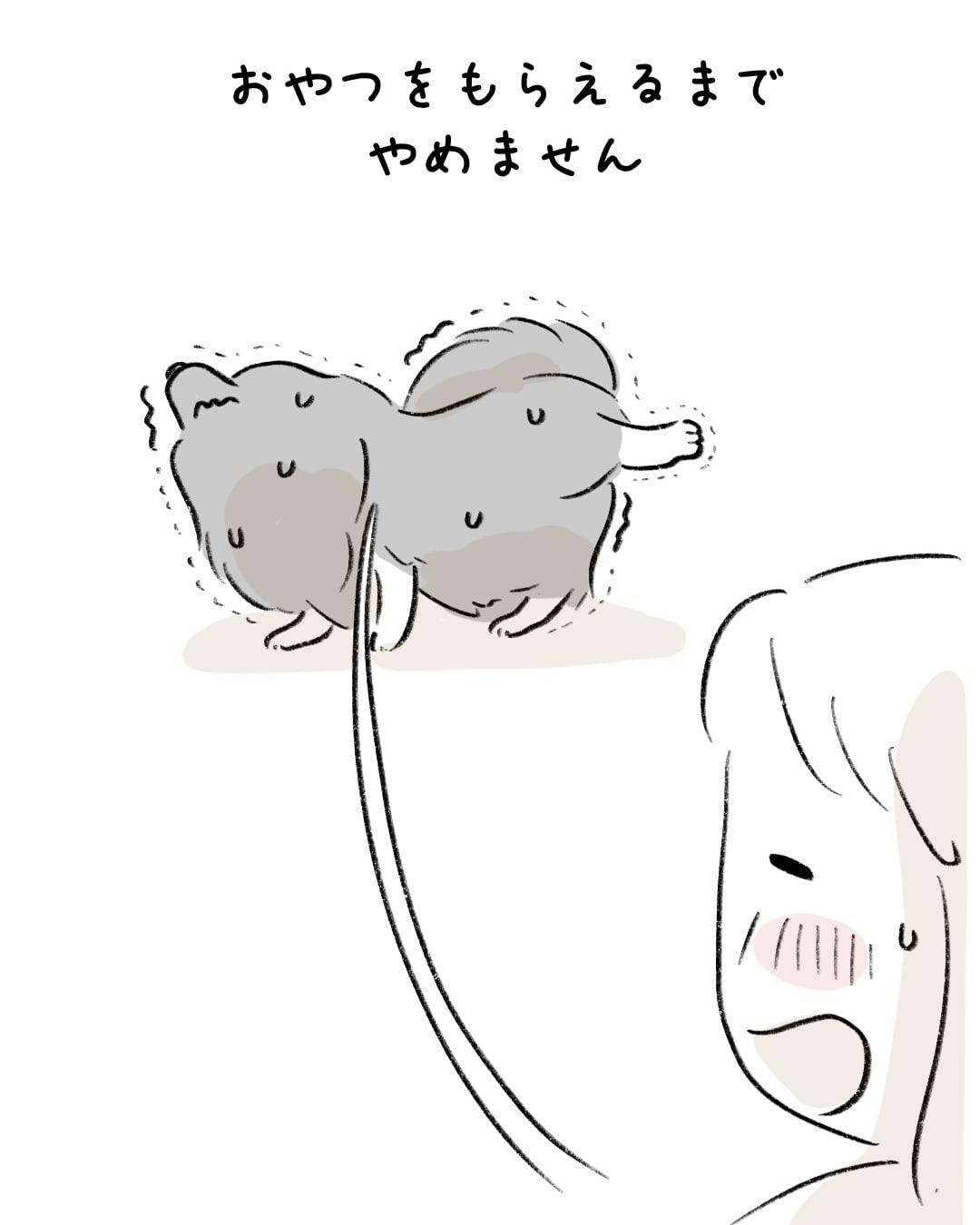 素敵な靴下を持つワンコ 9