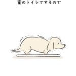 散歩に行くのにしないこと