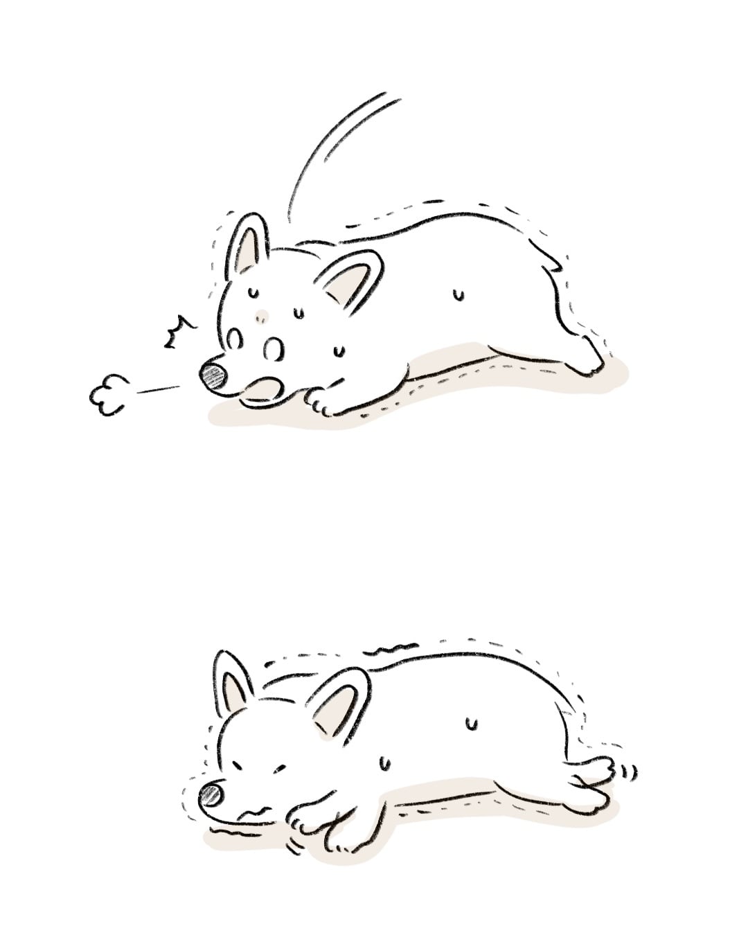 へそ天で伝えてくるのですが… 2