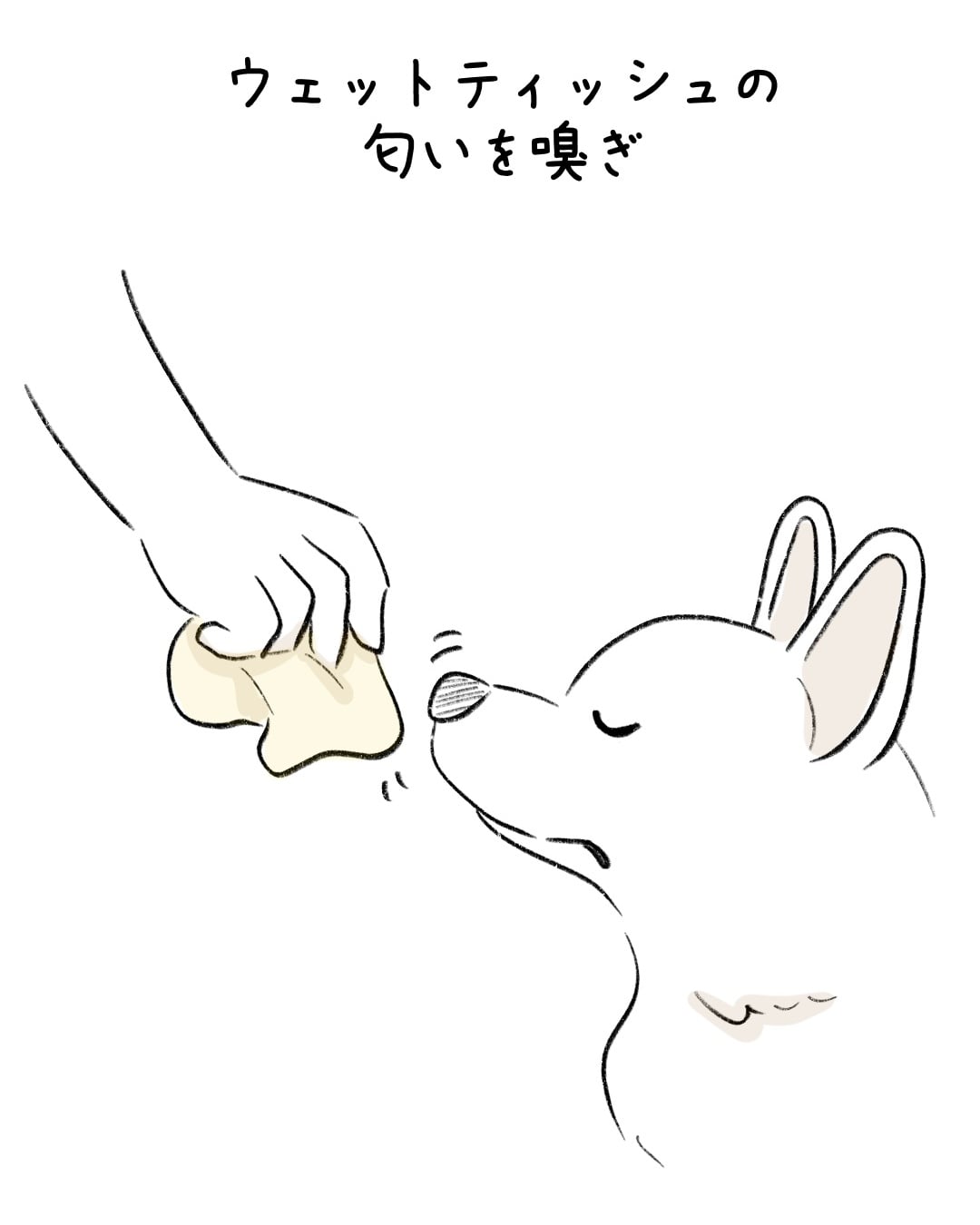 へそ天で伝えてくるのですが… 6