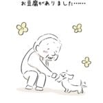 お豆腐をめぐる母とワンコの話