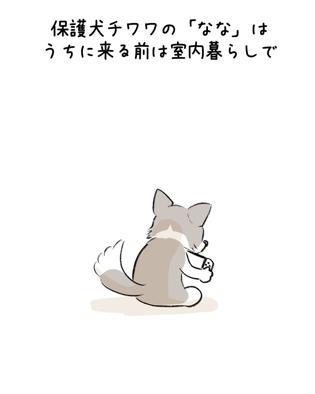 ある日だけ散歩を拒否する子 1