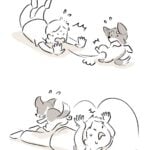 ある日だけ散歩を拒否する子
