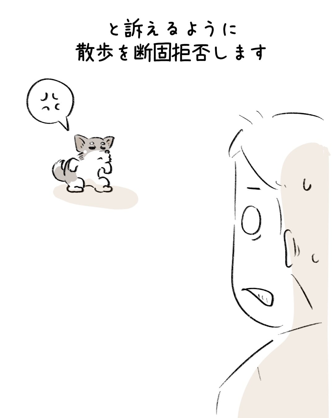 ある日だけ散歩を拒否する子 8