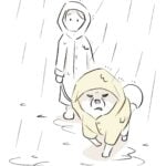 雨の日だけは…