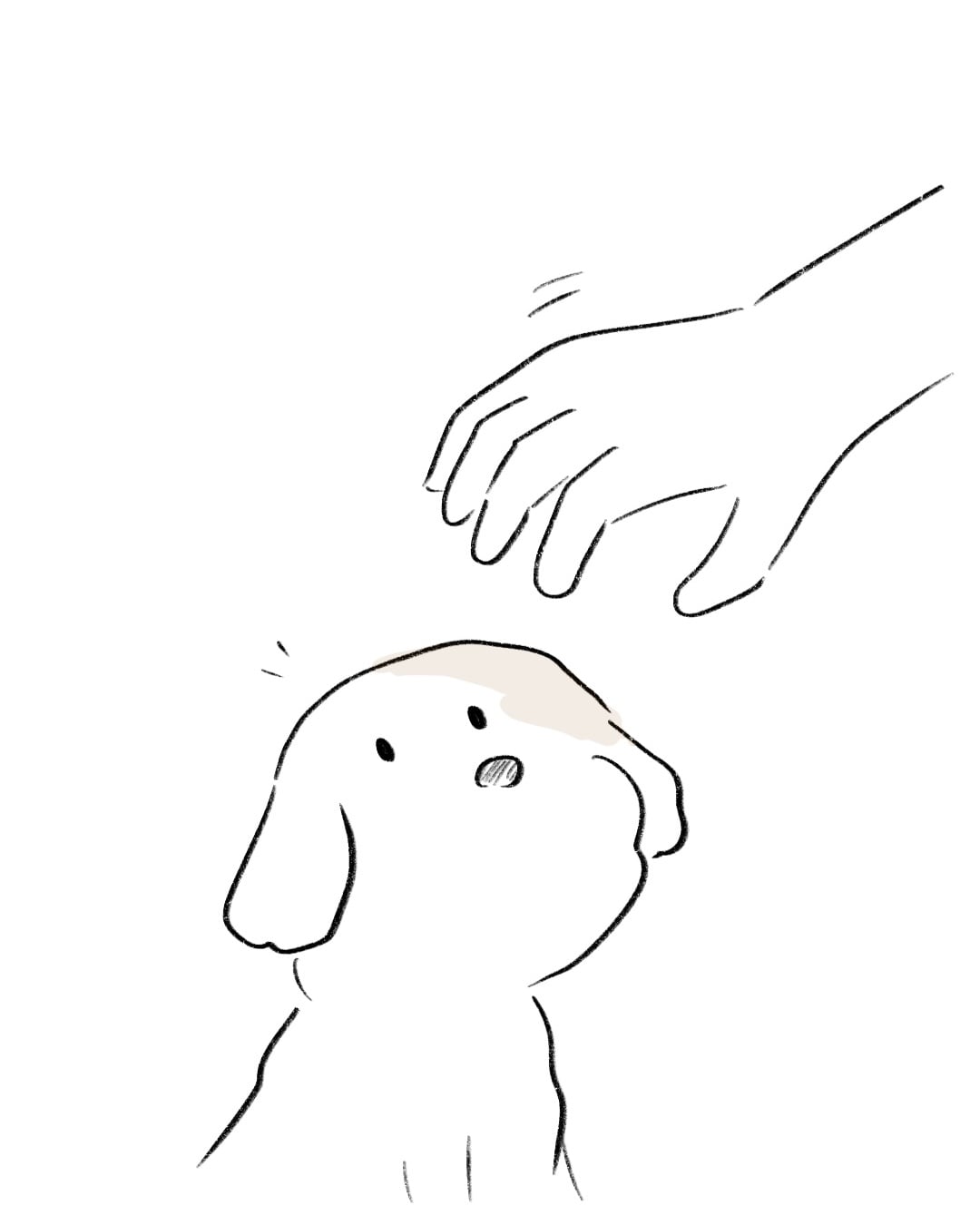 じっと見つめてくる本当の理由 6