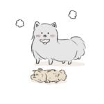 あの日置いてきたぬいぐるみ