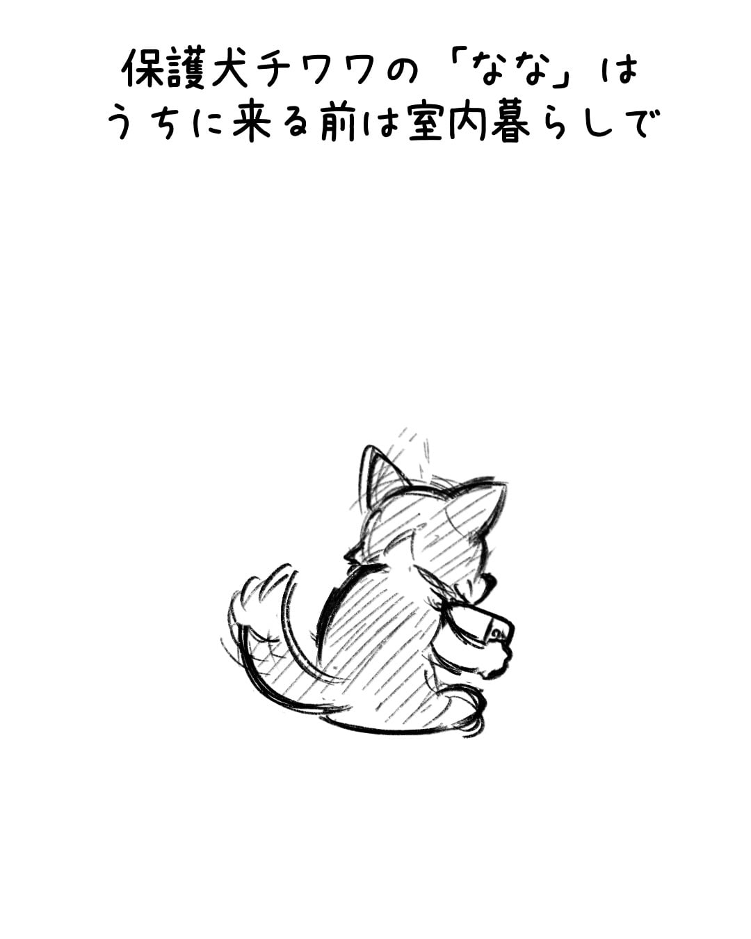 ep.115 制作ラフ 1