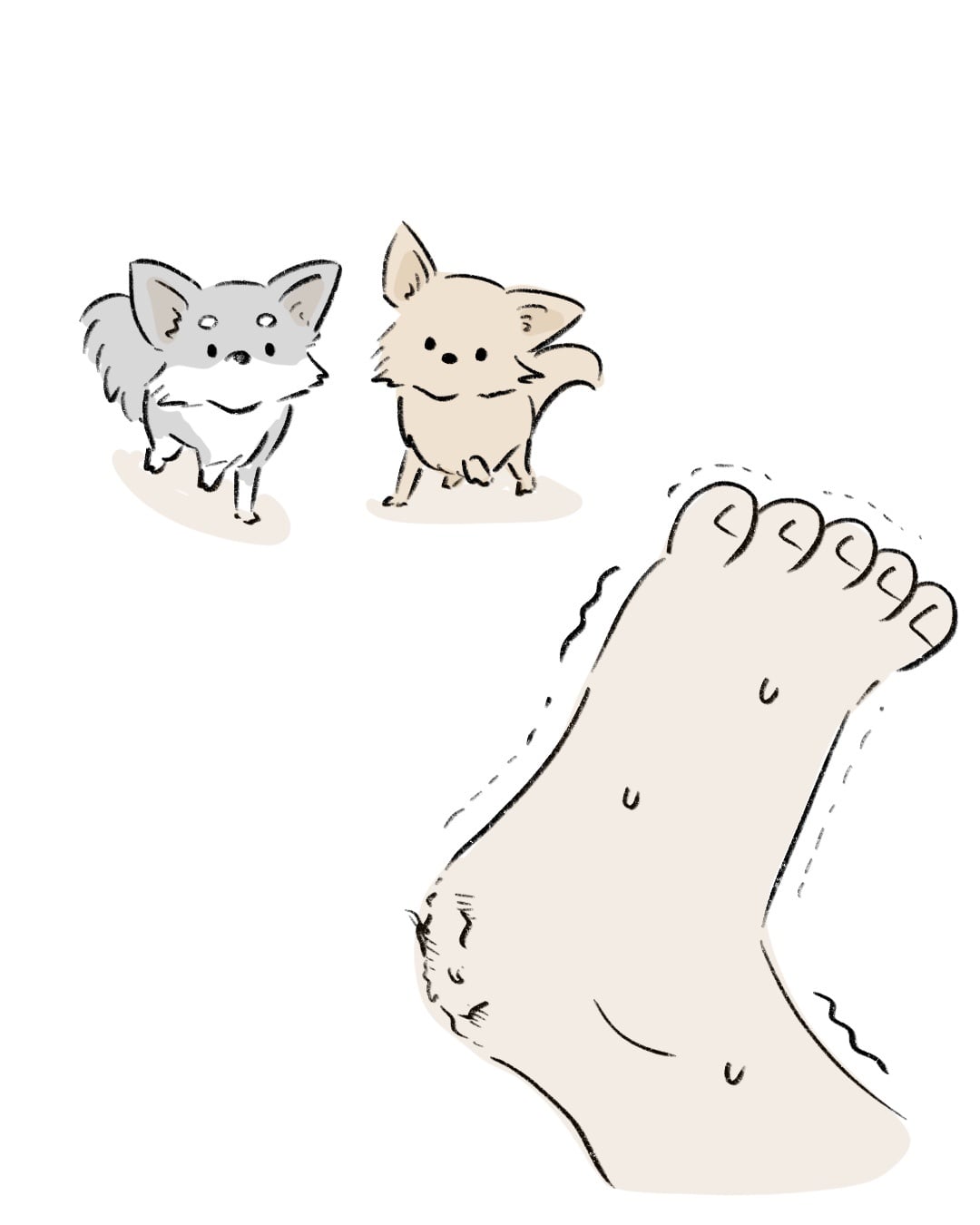 カサカサ踵が大好きです 3/8