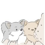 カサカサ踵が大好きです