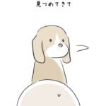 おしりを向けてくる理由