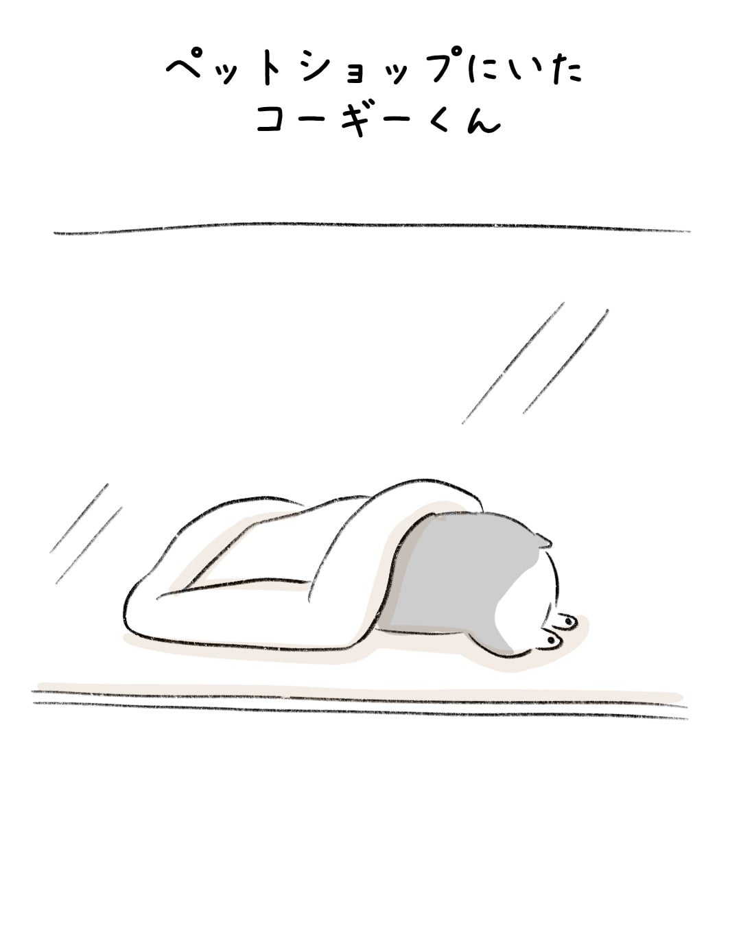 コーギーくんの顔が見たくて… 1/10