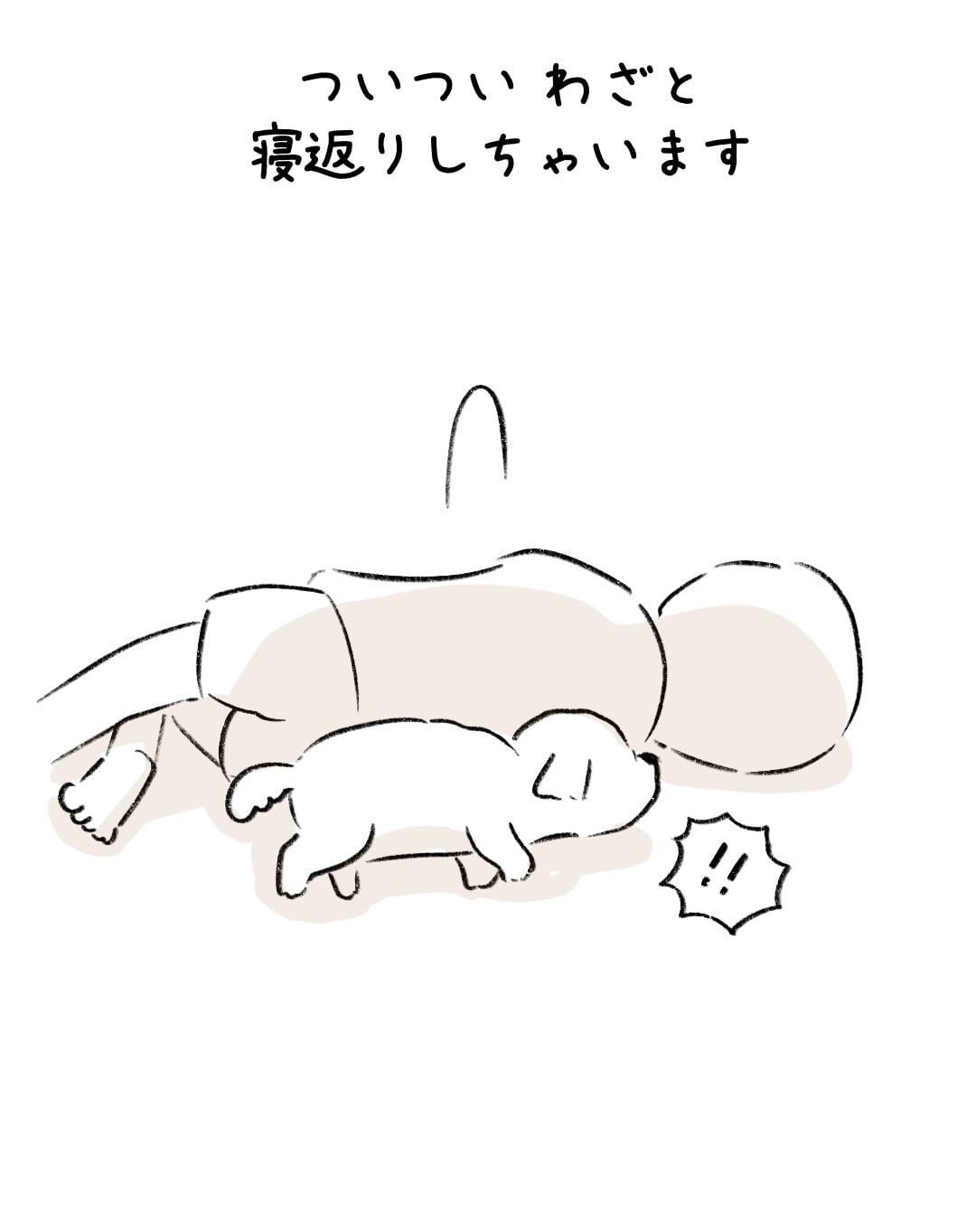 お腹が定位置なトイプー 9/9