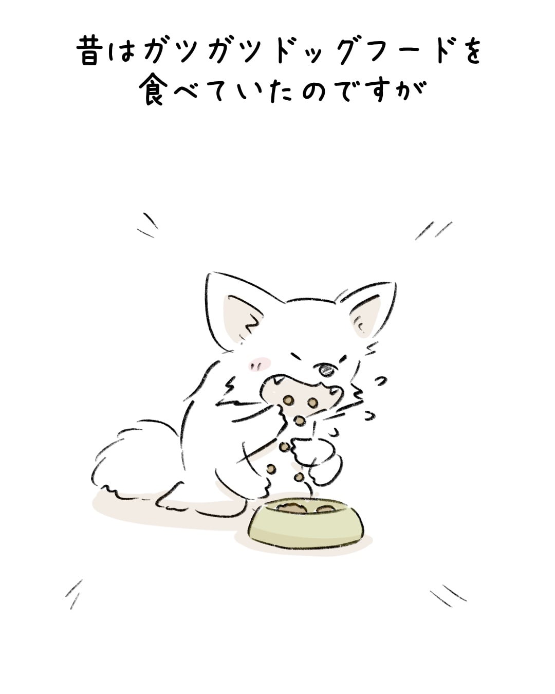 ドッグフードにこんな食べ方が… 1