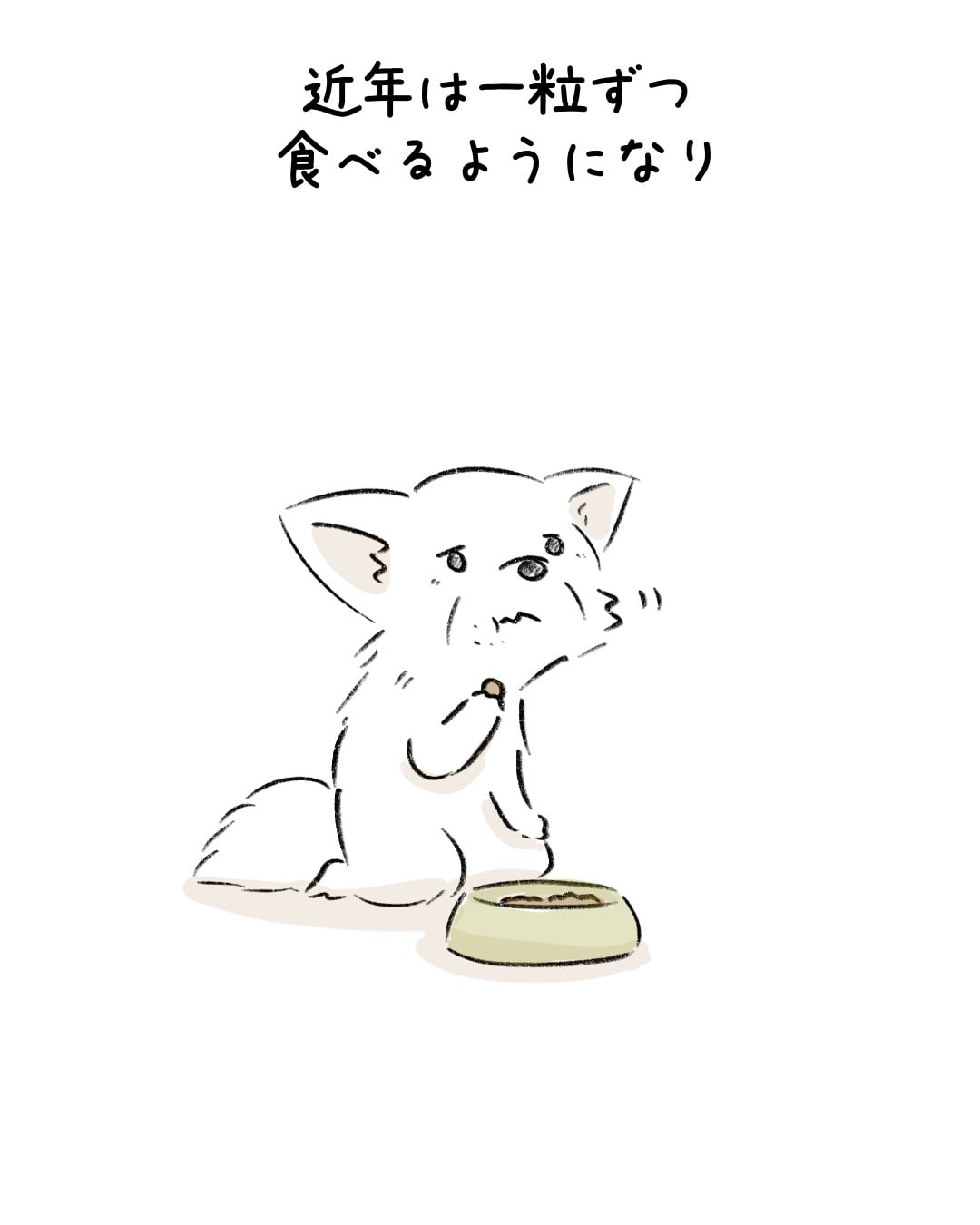 ドッグフードにこんな食べ方が… 2