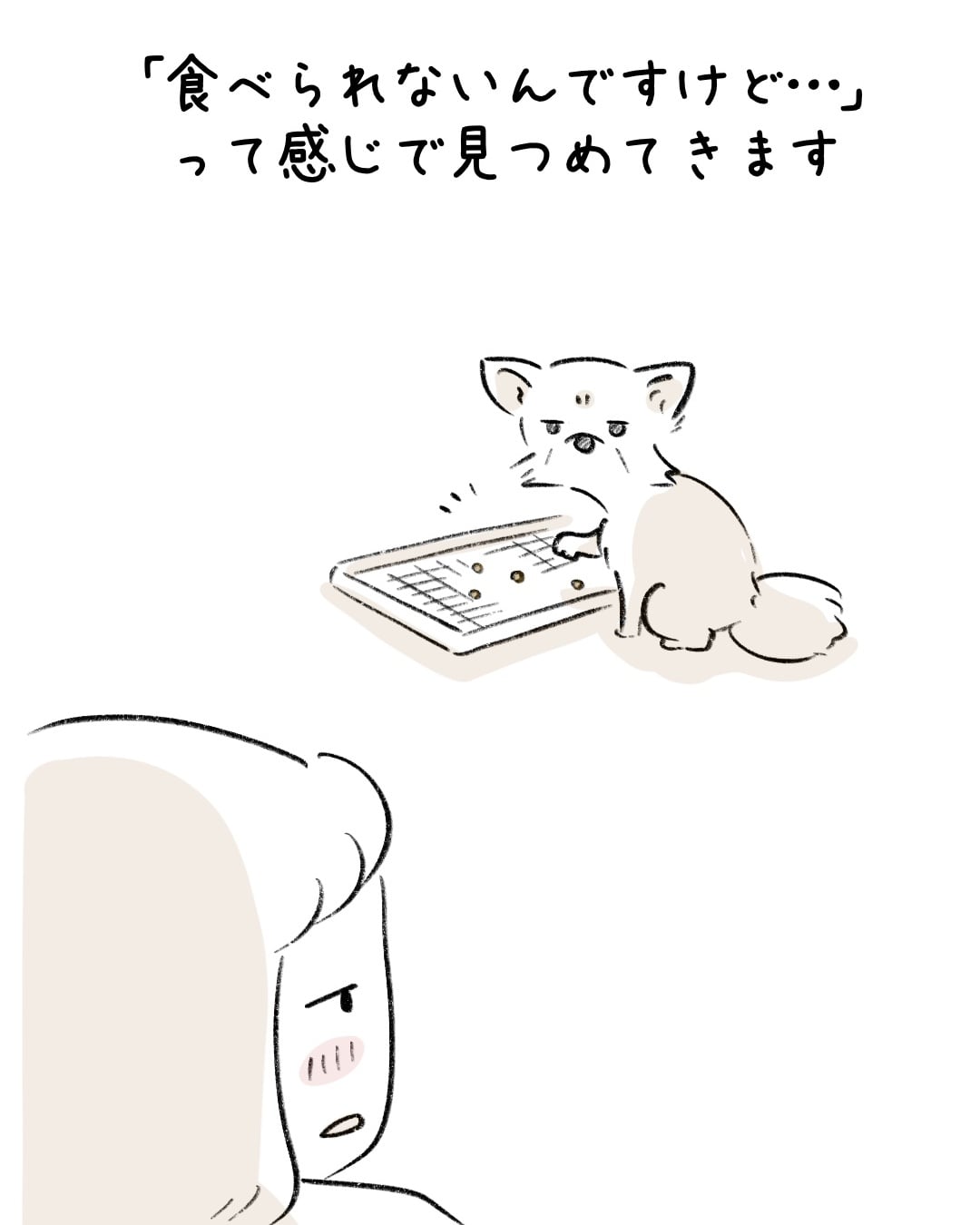ドッグフードにこんな食べ方が… 10