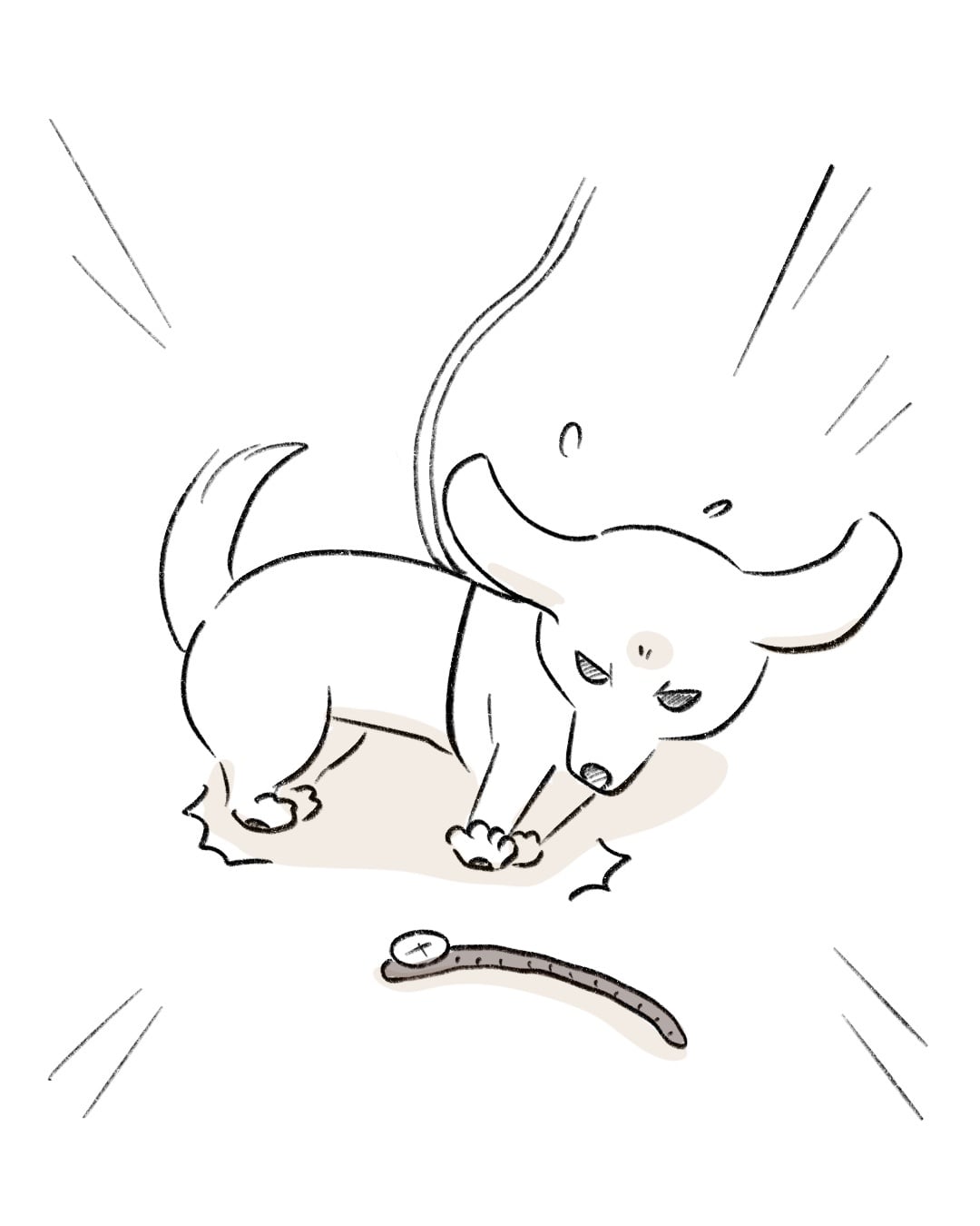 ミミズを見つけたその瞬間 3