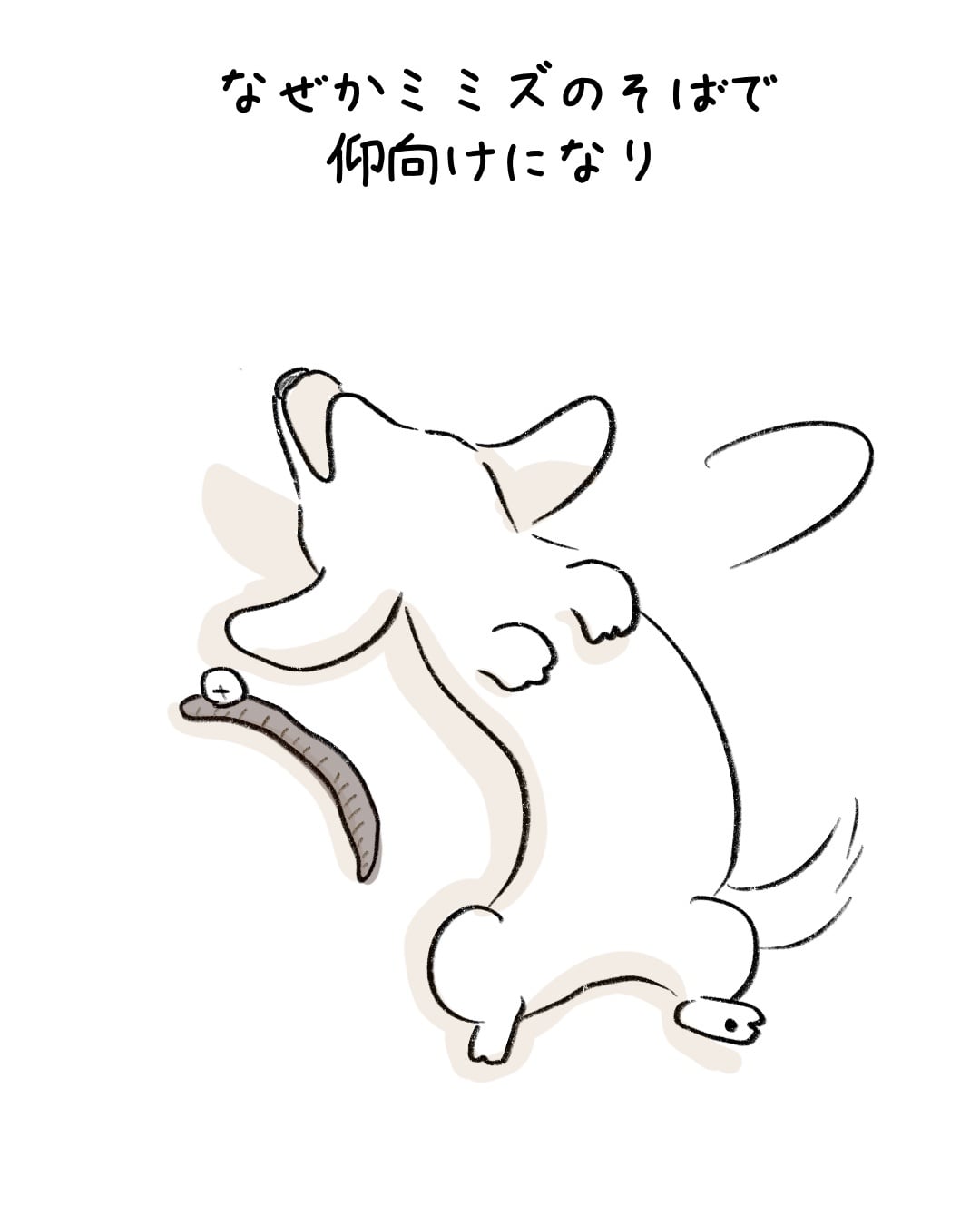 ミミズを見つけたその瞬間 5