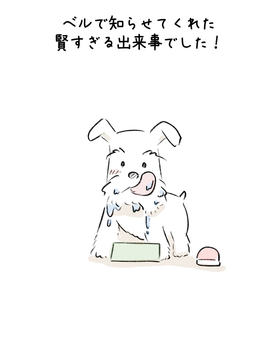 ベルを鳴らす賢いワンコ 7