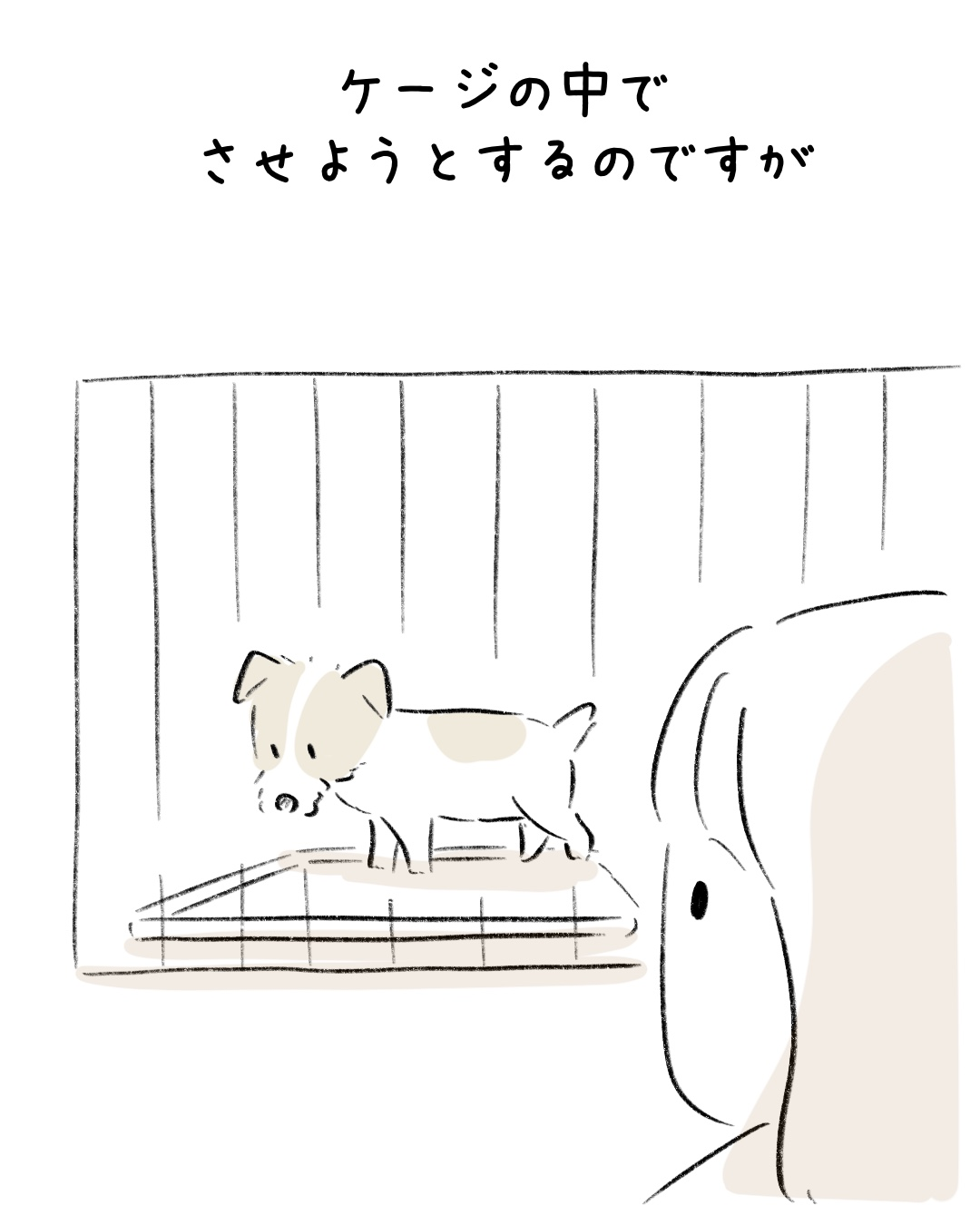 家族みんなで応援中 2