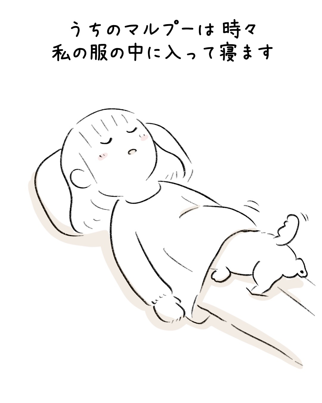 お気に入りの寝床は? 1
