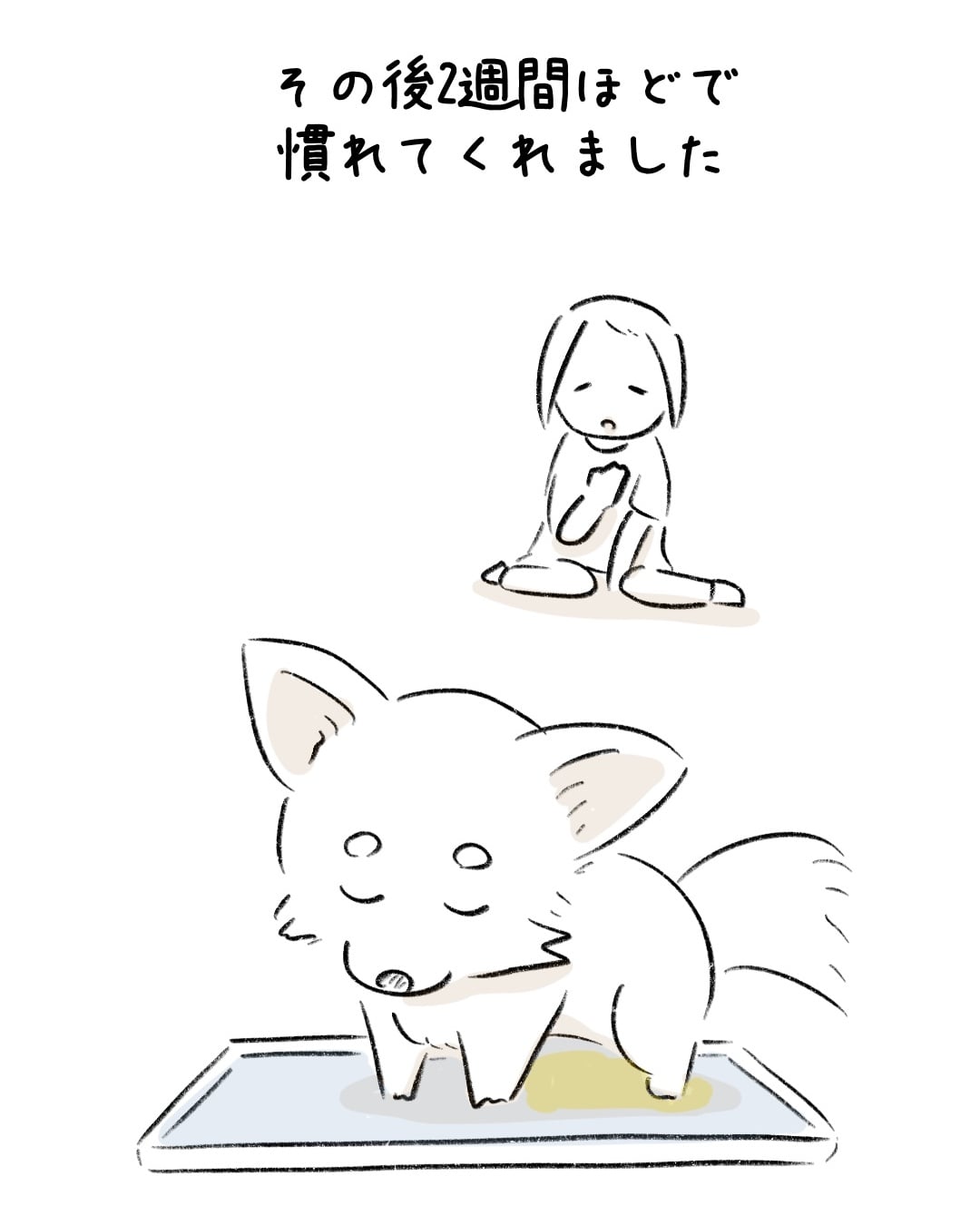 いつものトイレに異議あり? 8