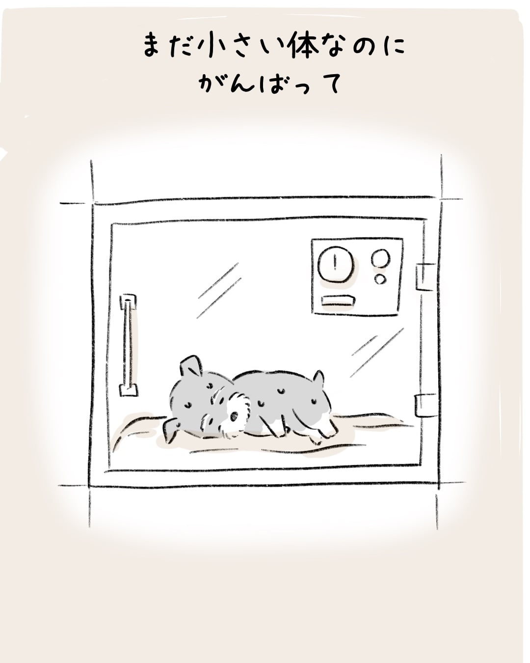 あの日、選ばれた理由 6