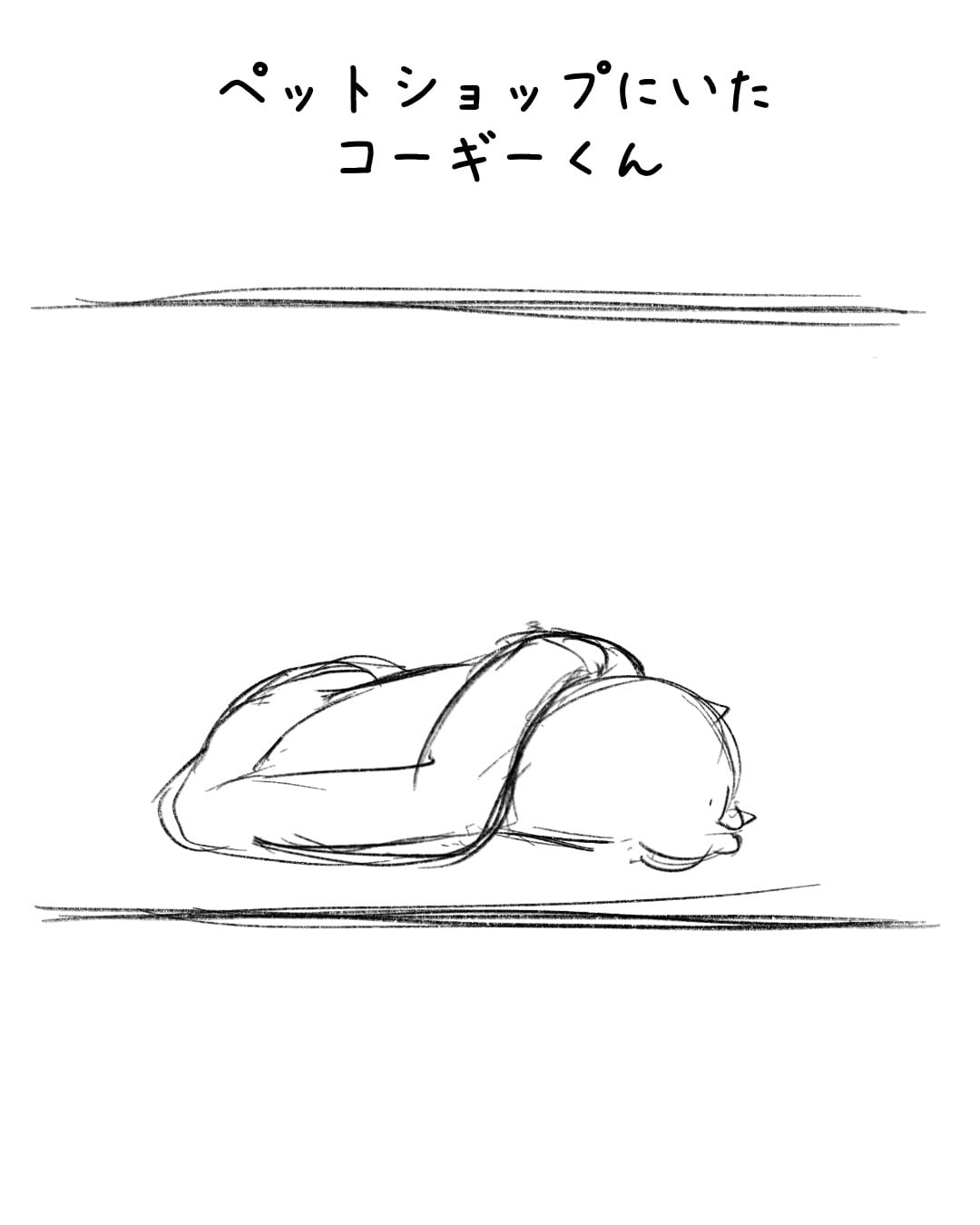 コーギーくんの顔が見たくて… 制作ラフ 1/3
