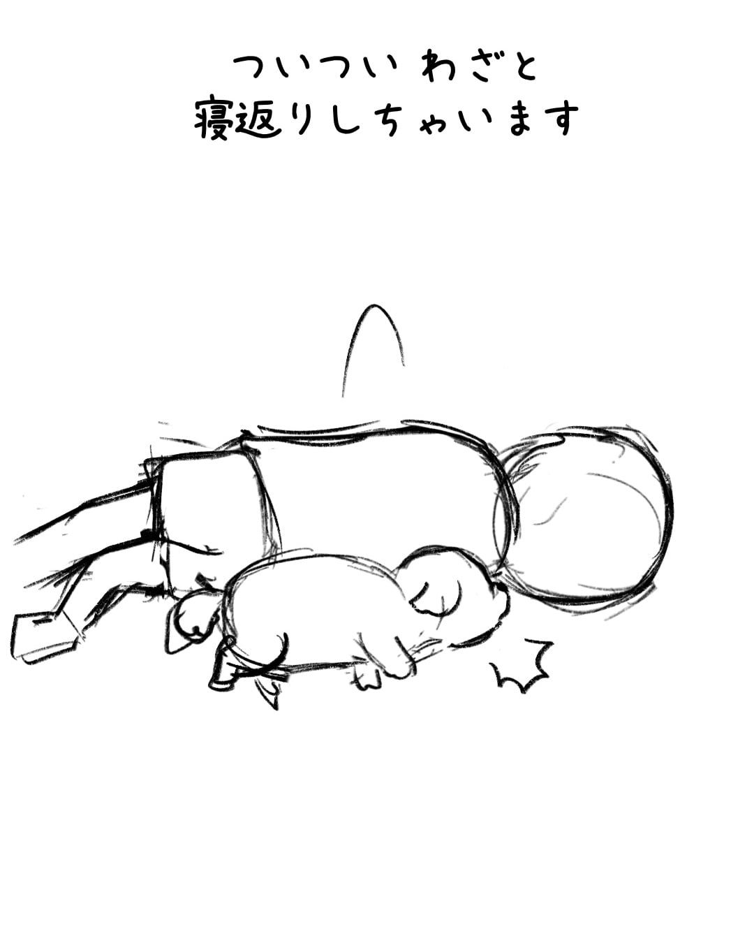 お腹が定位置なトイプー 制作ラフ 3/3